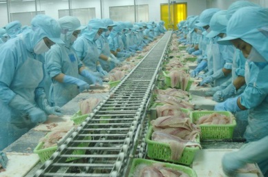 Some highlights of Vietnam’s fishery in 2016