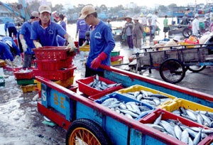 Southern fish catch up 43%, profits stable