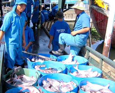 Seafood exports unable to meet annual target