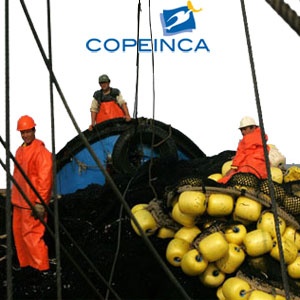 Peru - Copeinca ASA: 2013 first fishing season results