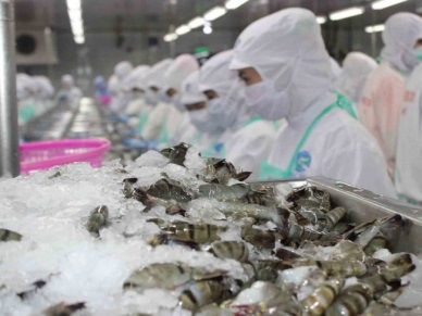 Shrimp exports to China expected to lift by 7% in 2020 