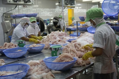 CPTPP, EVFTA to benefit Vietnamese fishery sector