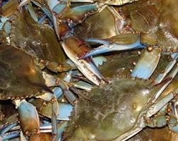 Blue Crab Bank: a model to protect resources