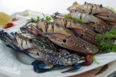 Jan-Aug 2016:  Up 7% in Vietnam crab exports 