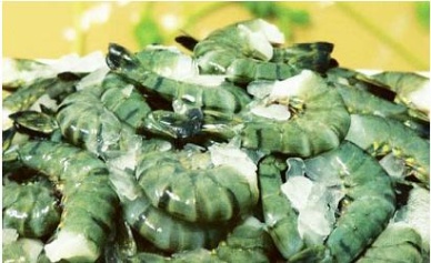 Cuu Long Seapro aims to reach US$50 million in 2013