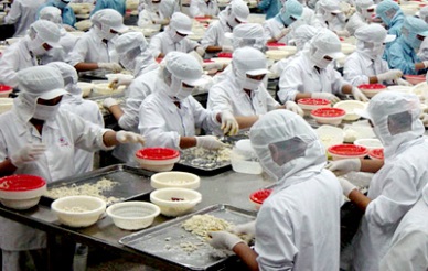 Ba Ria Vung Tau: seafood exports increased by 13.65%