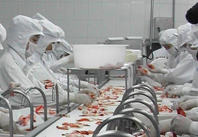 Vietnam seafood enterprises making effort to overcome difficulties