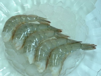 Countervailing duty: A new challenge to shrimp imported into the U.S