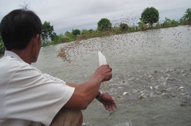 Dong Thap to invest in infrastructure for aquaculture
