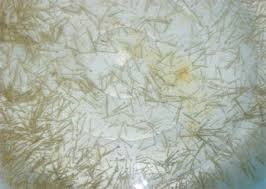 Binh Thuan: promoting shrimp post brand