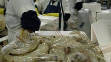 Ecuador joins fight against US shrimpers
