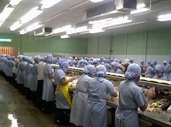 Ecuador’s Tuna Exports Value Falls Over January