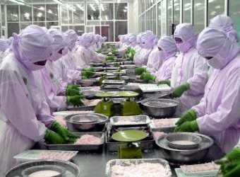 DG SANCO updates list of Vietnam’s fish processing facilities exported to EU