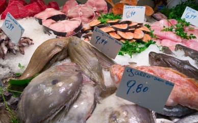 EU largest global importer of seafood products