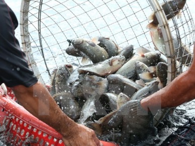 Thai Binh Economic Zone established