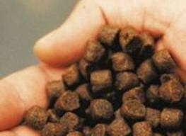 Feed experts: Lack of fishmeal and oil won