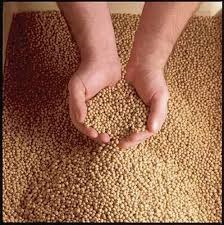 Global Aqua Feed Market is expected to reach USD 122.60 billion in 2019: Transparency Market Research