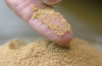 China feed sales up on freshwater prices, shrimp recovery