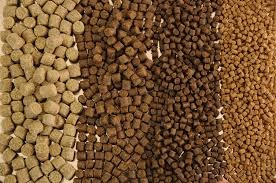 Hung Vuong Corp: Completed public offer 4 million of VTF shares 