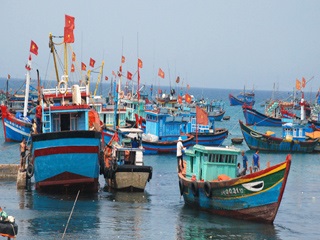 Quang Nam: More fishing unions to boost deep sea catch