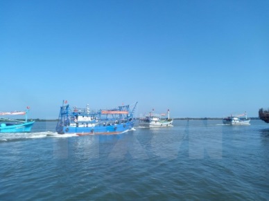 Fisheries – important economic sector of Vietnam