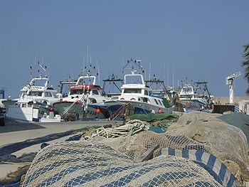 EU considers ban to stop IUU fishing