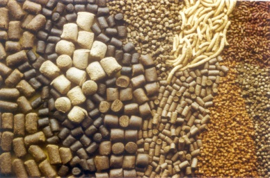 Responsible supply programme announces changes to global standard