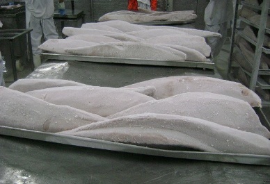 US frozen tuna prices fall off record highs amid strong imports