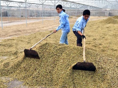 Vietnam-EU FTA: Opportunities and challenges