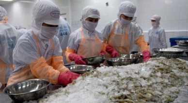 Fifth round of Vietnam-Korea FTA negotiation saw progresses