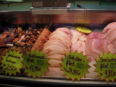 FIZ: Germany’s seafood demand is growing 