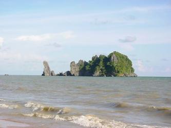 Stock assessment of blue swimming crab to catch sustainably