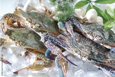 Crab exports to the U.S. to climb up