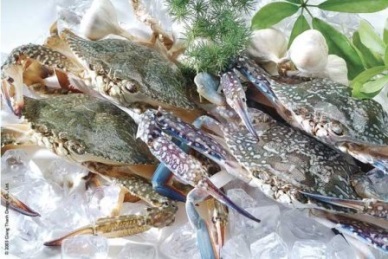 Vietnam crab sales to EUChina climbed up