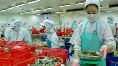 Seafood exporters expect benefits from FTA