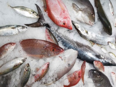 HAI NAM CO.,LTD - 35 YEARS - TOGETHER WE CROSS THE OCEAN