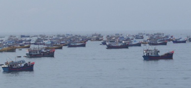 Hai Phong saw a slight rally in catch landings