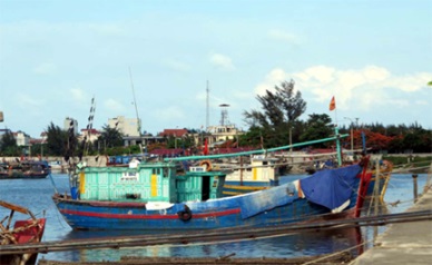 Hai Phong: Fish production up 7.13 percent in Jan-May 2014