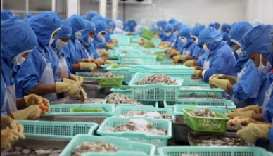 Seafood businesses advised to boost official exports to China