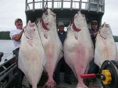 Pacific halibut prices likely to rise