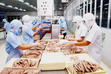 Export of Vietnamese canned tuna to the US went up 
