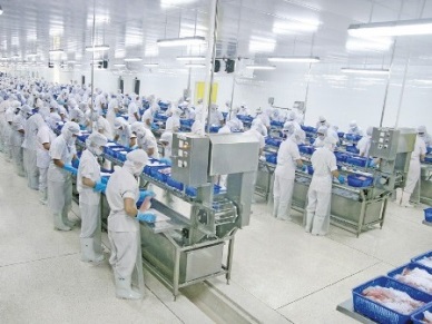 HOA PHAT – PANGASIUS PROCESSOR IN VIETNAM