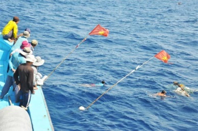 Tra Vinh: Fishing groups operate efficiently