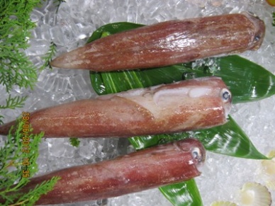 2012: Cephalopod imports into the U.S. up but bivalve mollusk down 