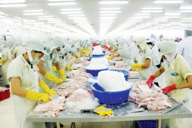 Tien Giang province to strengthen seafood and pangasius export
