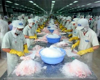 U.S. catfish inspection program: More obstacles for Vietnamese seafood exports