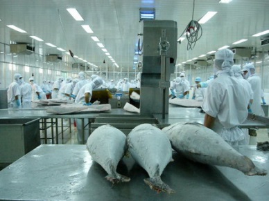 VN – the 2nd largest supplier of frozen tuna loin to US 