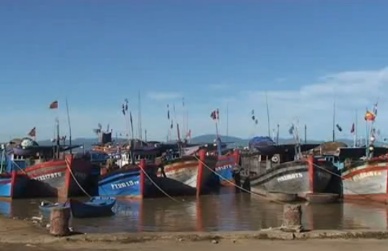 More fisheries unions established in Quang Nam