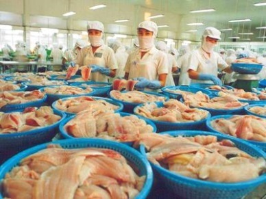Pangasius  exports to Spain recovered
