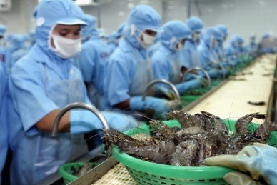 Slight rise in Vietnam shrimp exports in the year end
